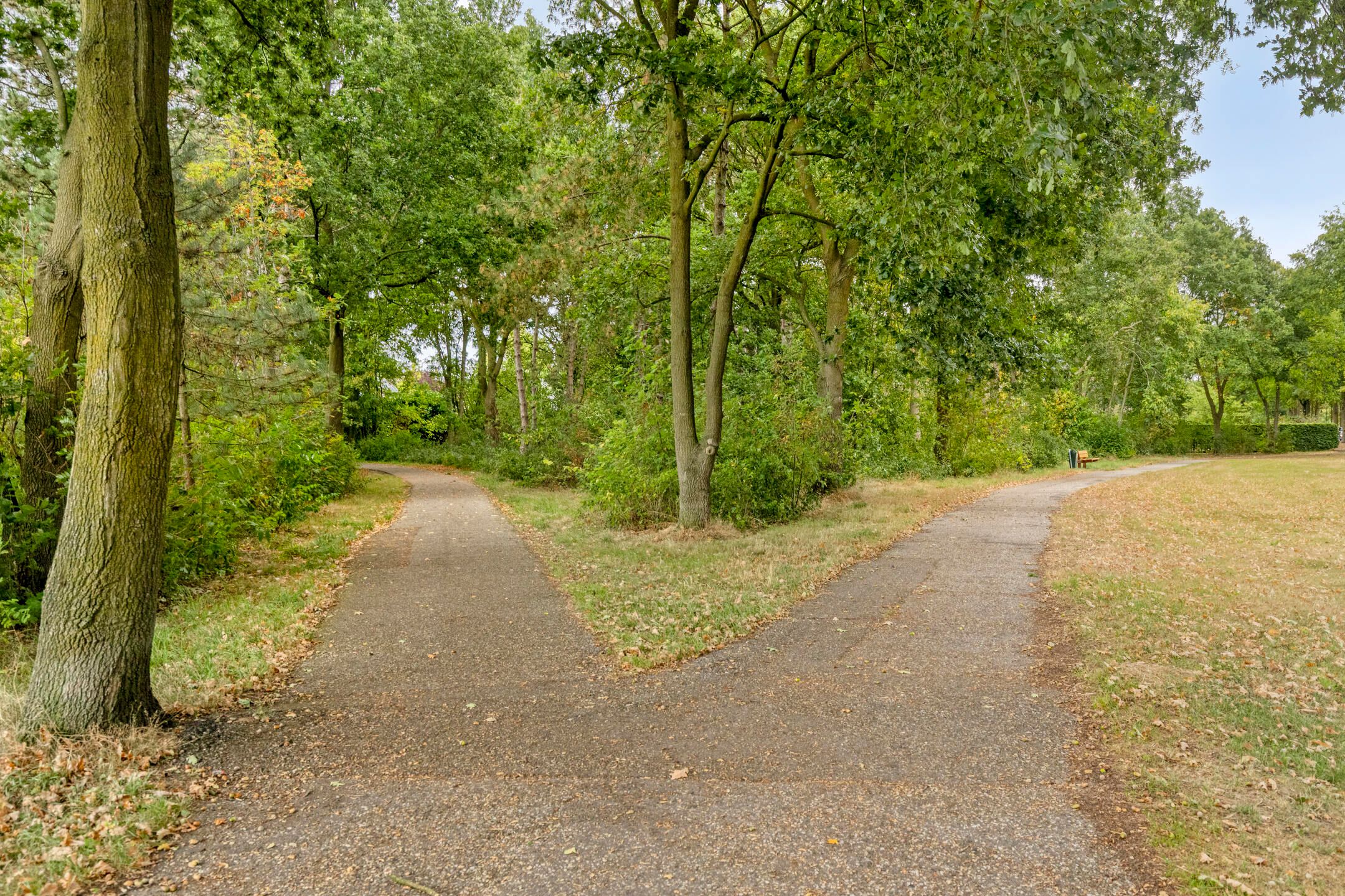 Foto 45 van Stoffels 101