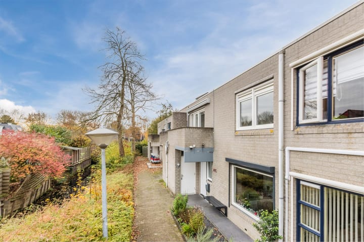 Foto 4 van Paardenweide 48