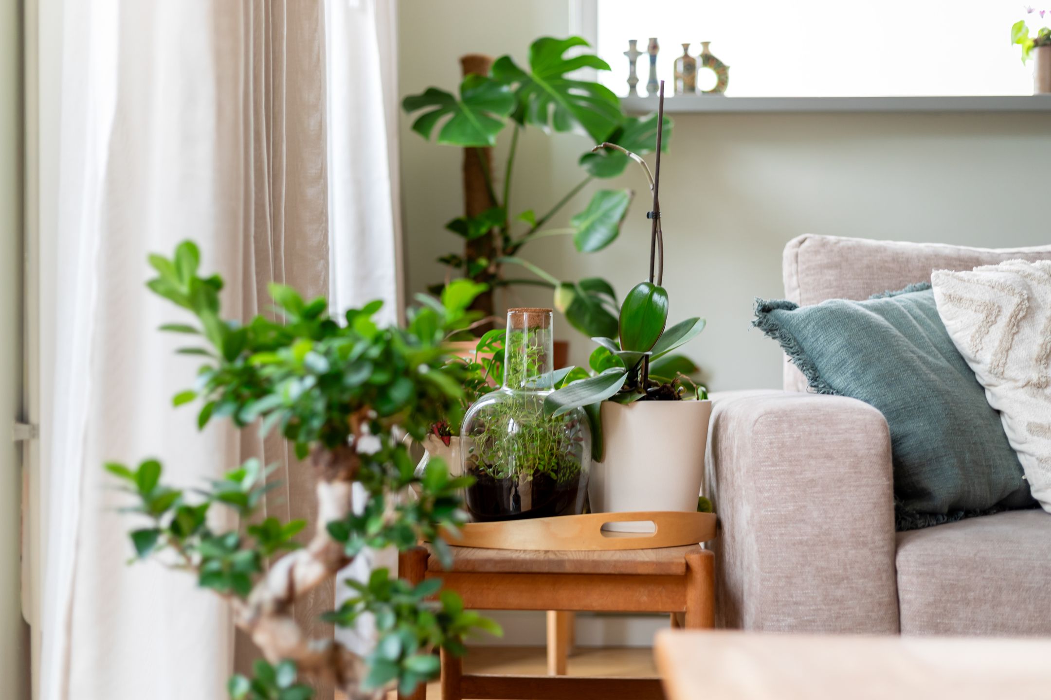 Foto 9 van Boris Pasternak-erf 242