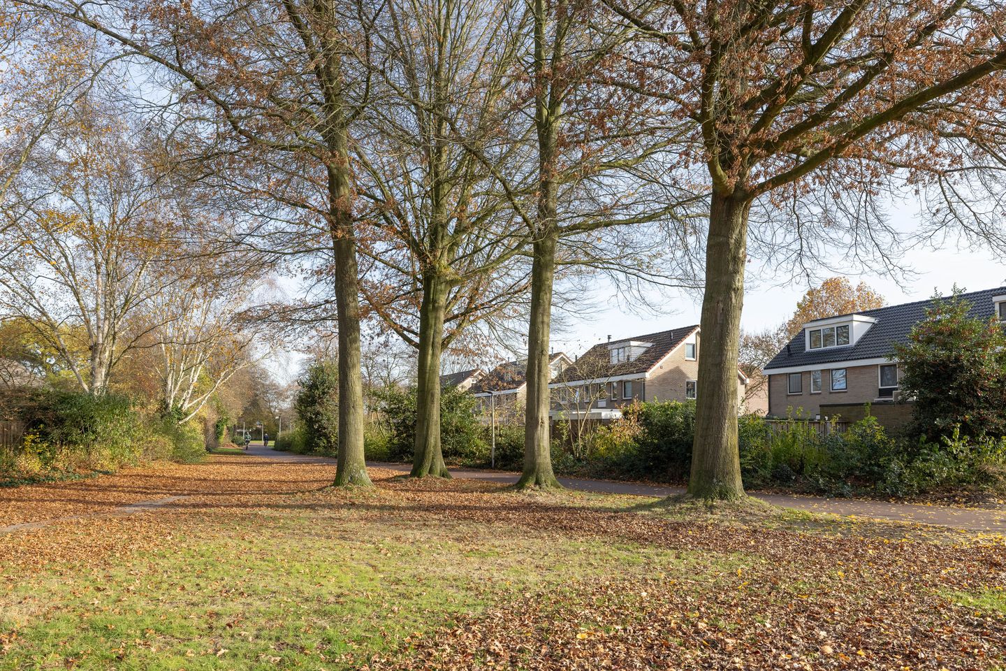 Foto 29 van Johan Buziaustraat 27