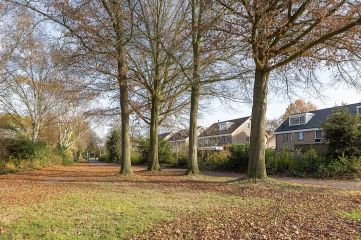 Photo 29 of Johan Buziaustraat 27