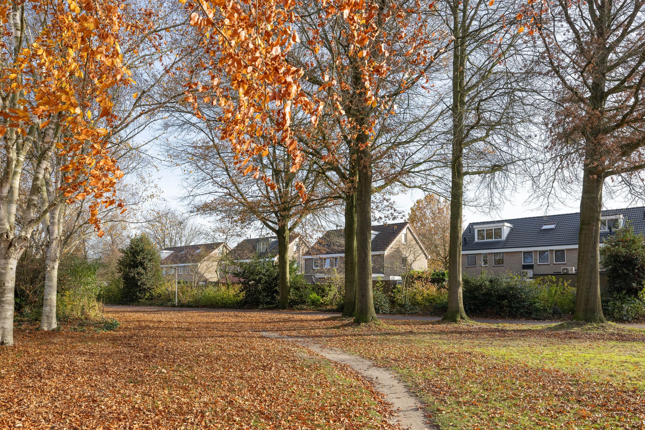 Foto 30 van Johan Buziaustraat 27