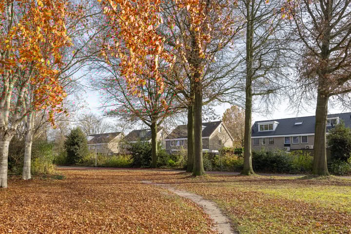 Photo 30 of Johan Buziaustraat 27