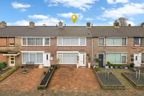 undefined main image