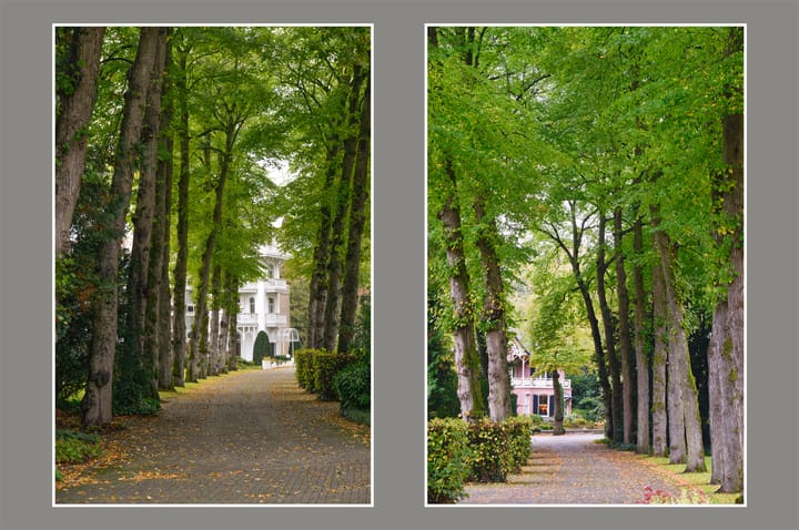 Foto 22 van Julianalaan 4-0114