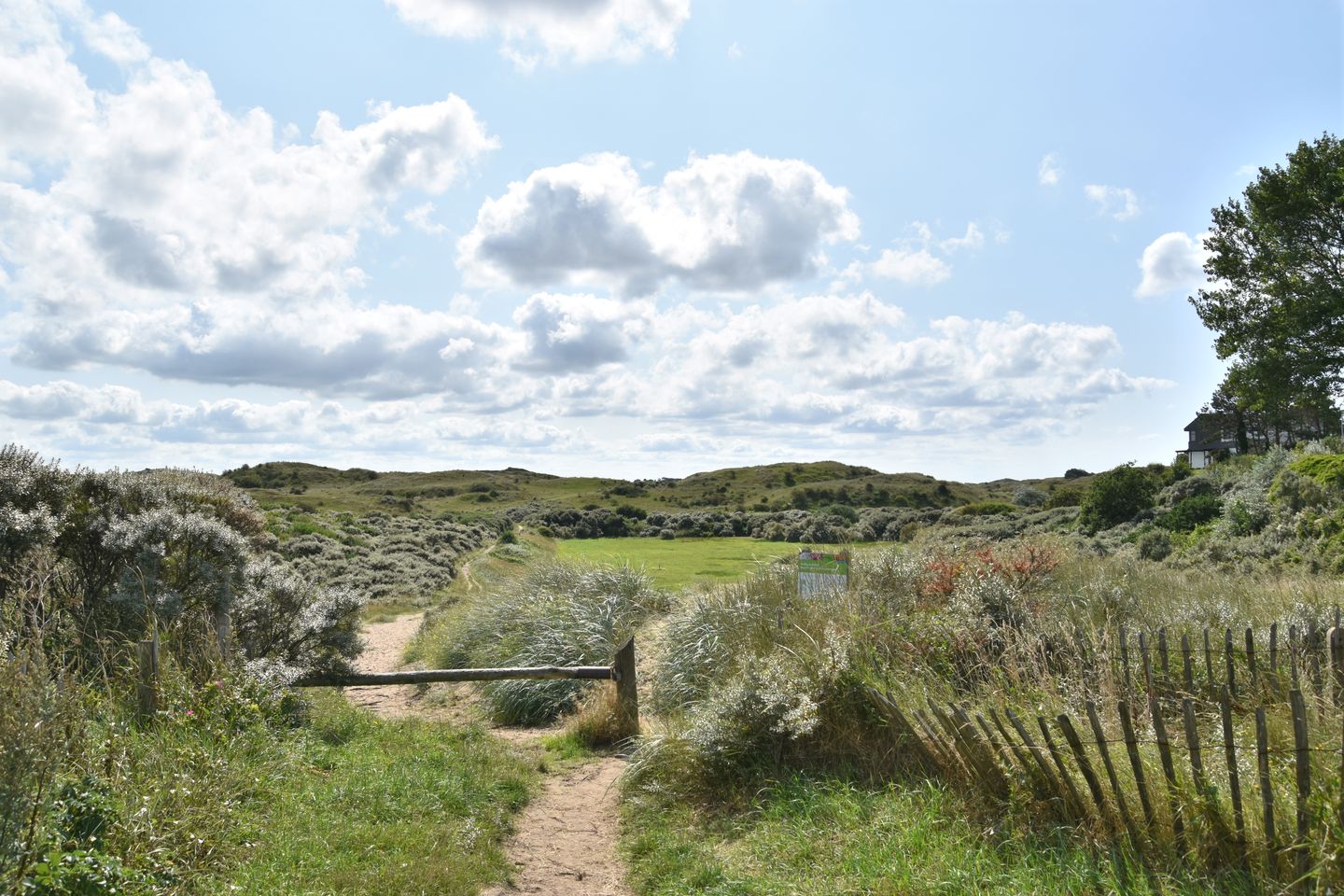 Foto 50 van Duinstraat 25