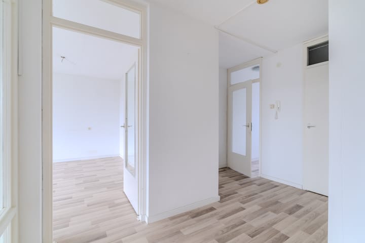 Photo 12 of Prins Johan Willem Frisolaan 357