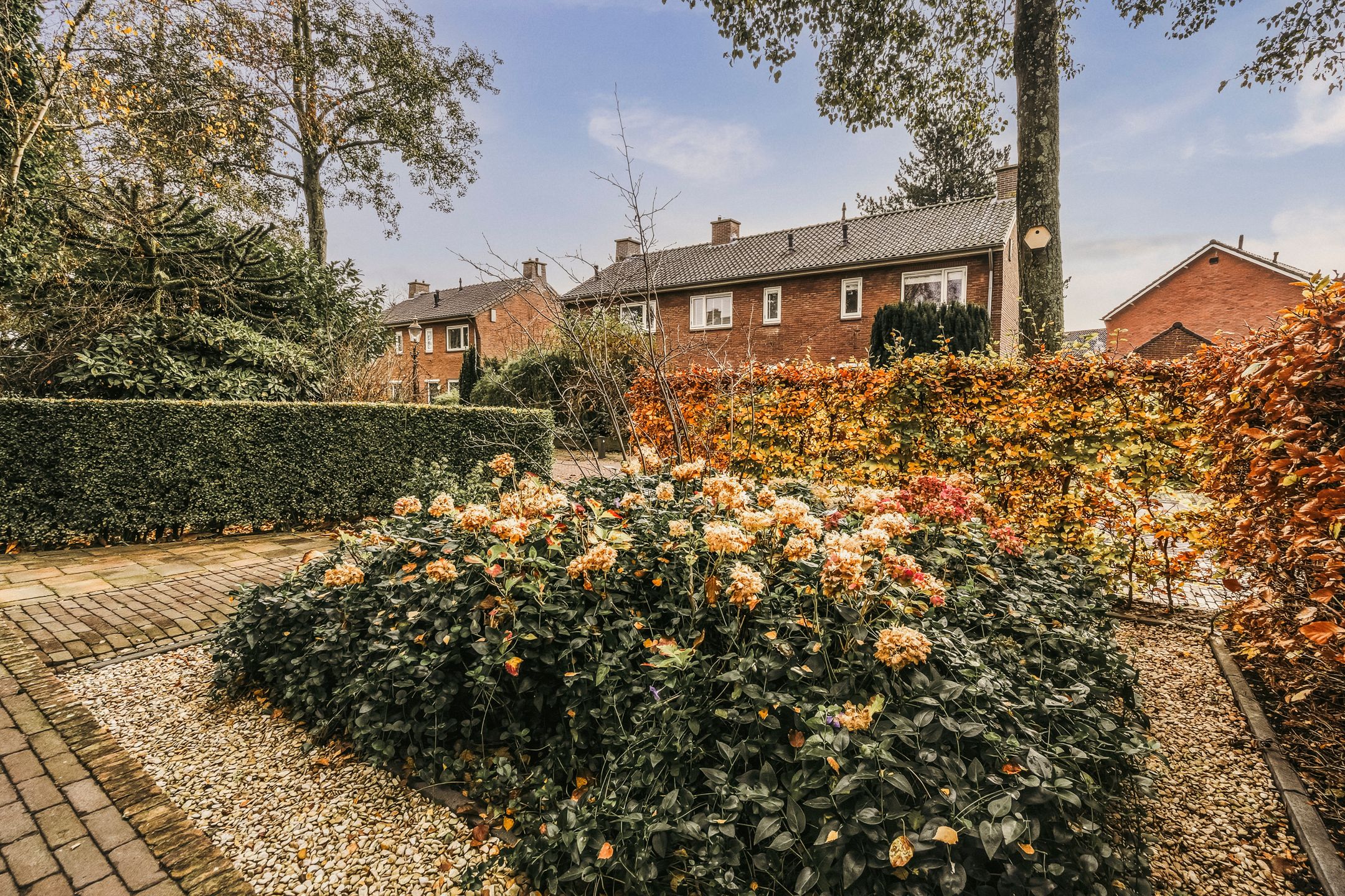 Foto 57 van Piet Prinsstraat 3