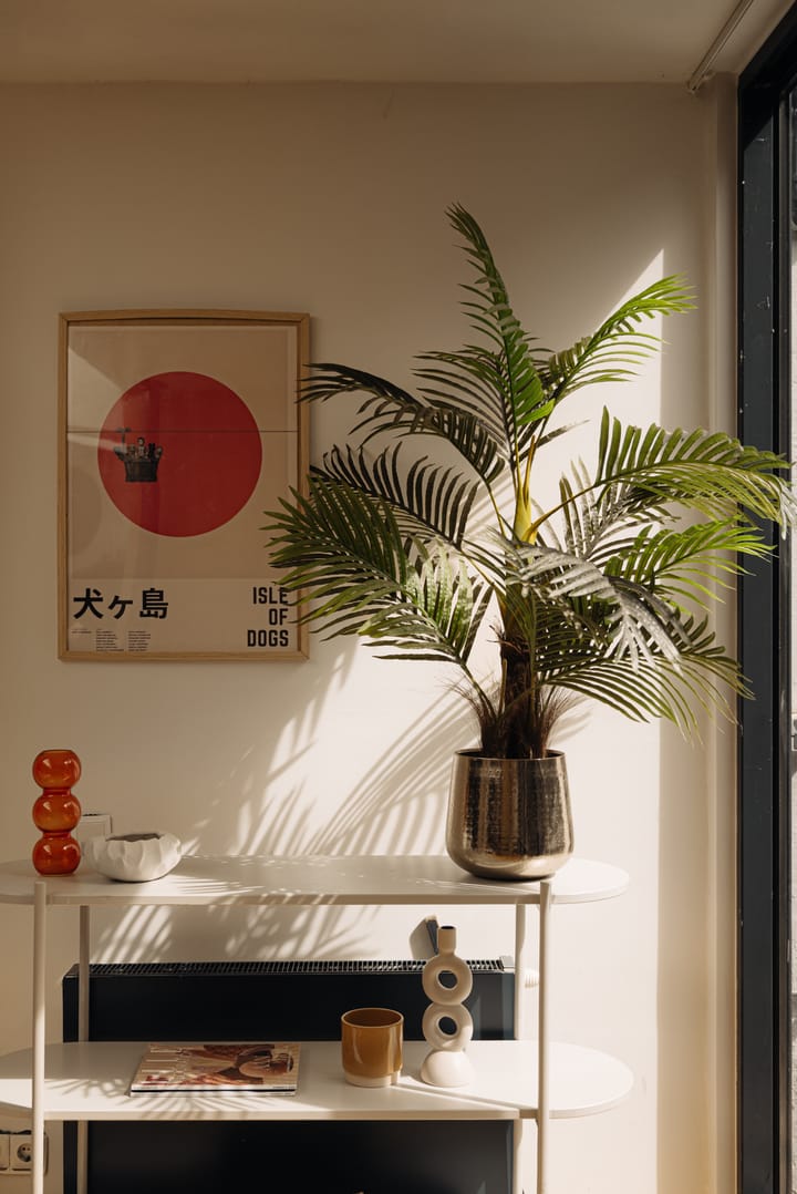 Foto 13 van Laurierstraat 63