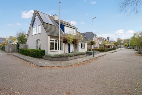 Agaat 100 secondary image