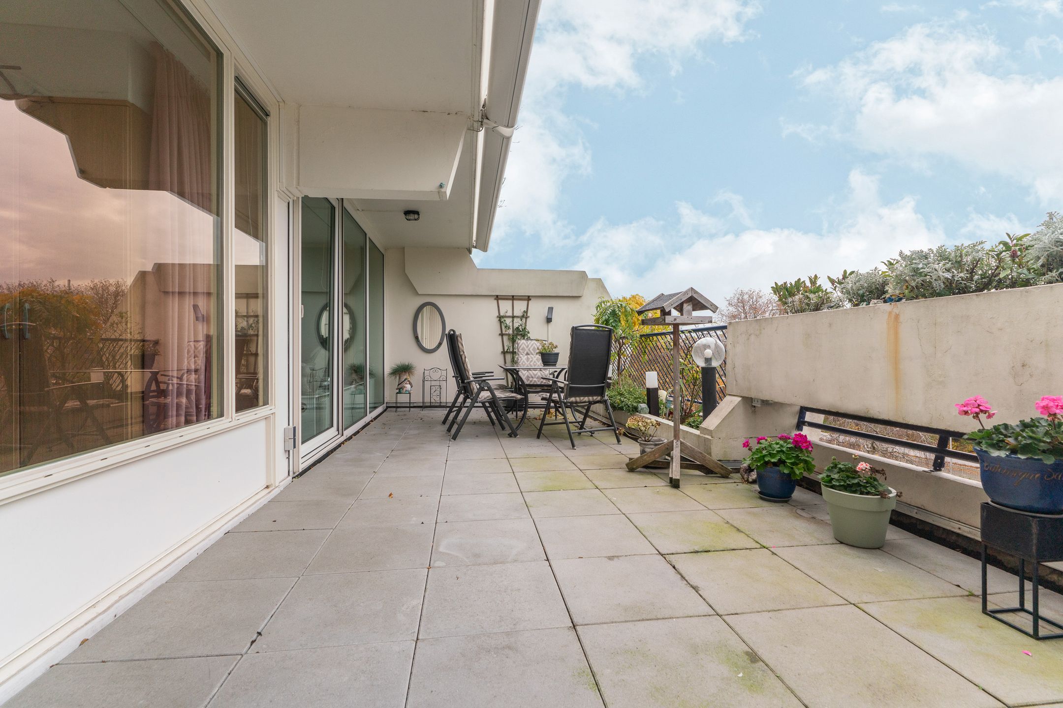 Foto 30 van Wildforster 357