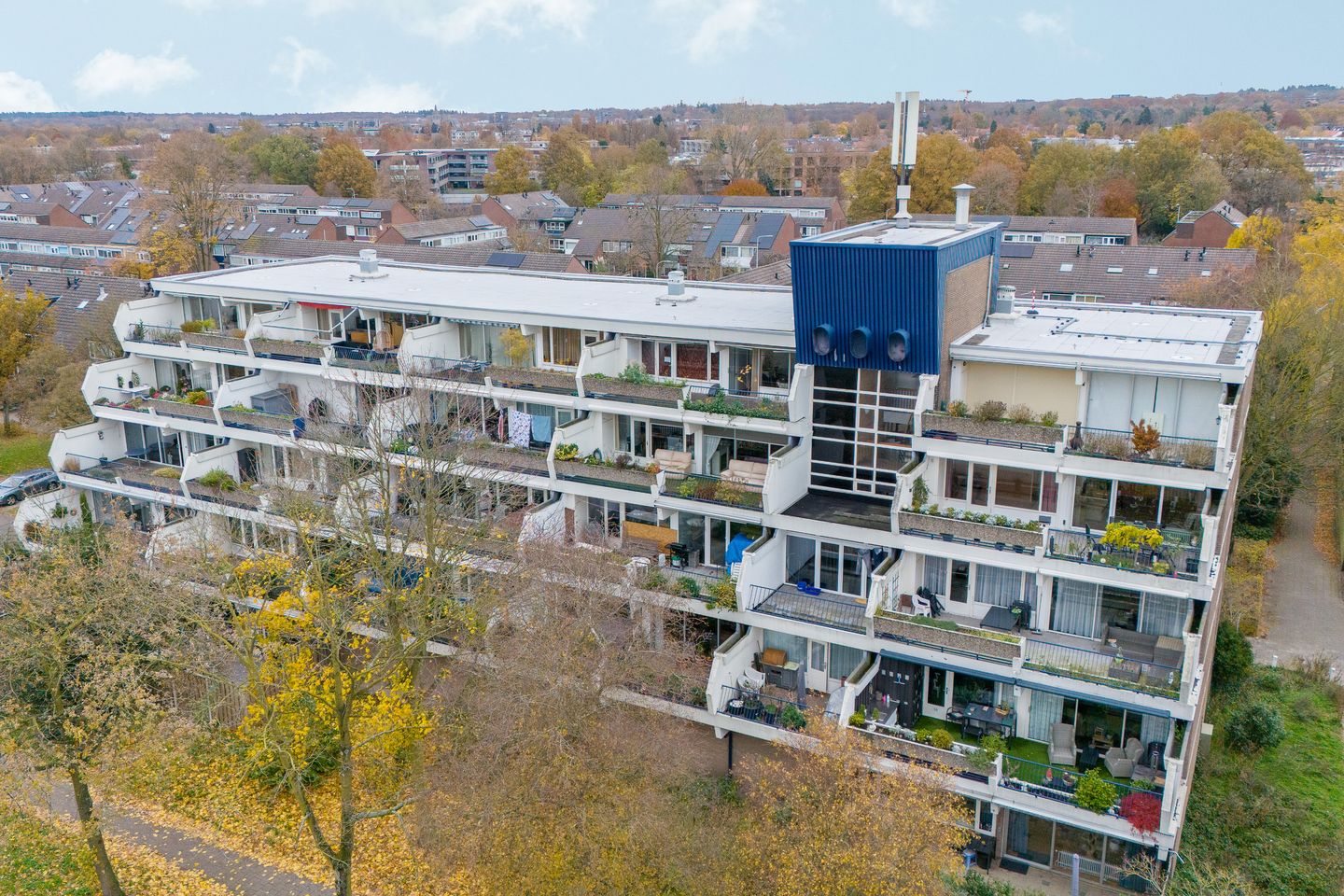 Foto 35 van Wildforster 357