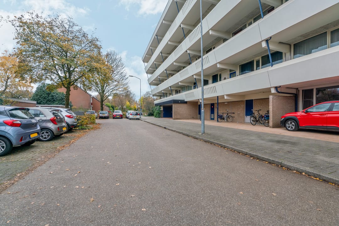 Foto 37 van Wildforster 357