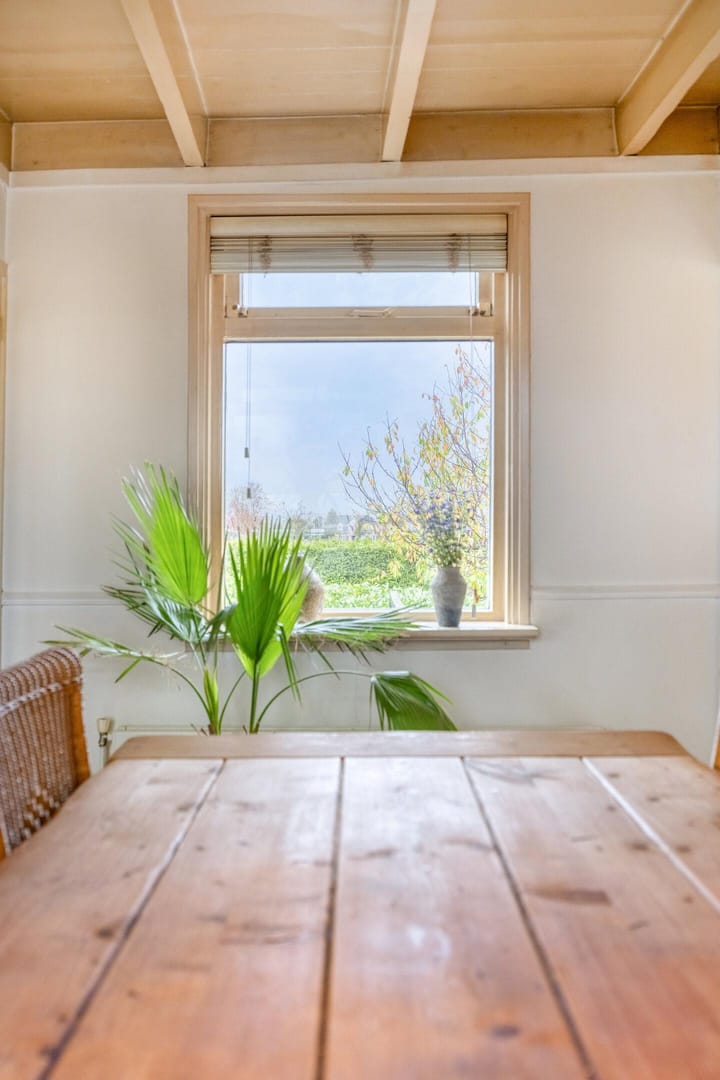 Foto 11 van Maasdijk 2