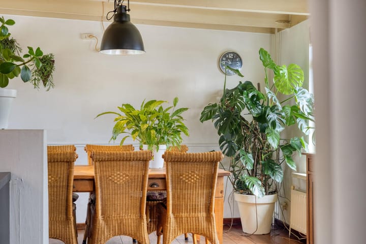 Foto 12 van Maasdijk 2