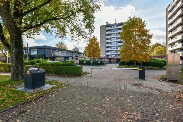 Photo 20 of Thamerhorn 72