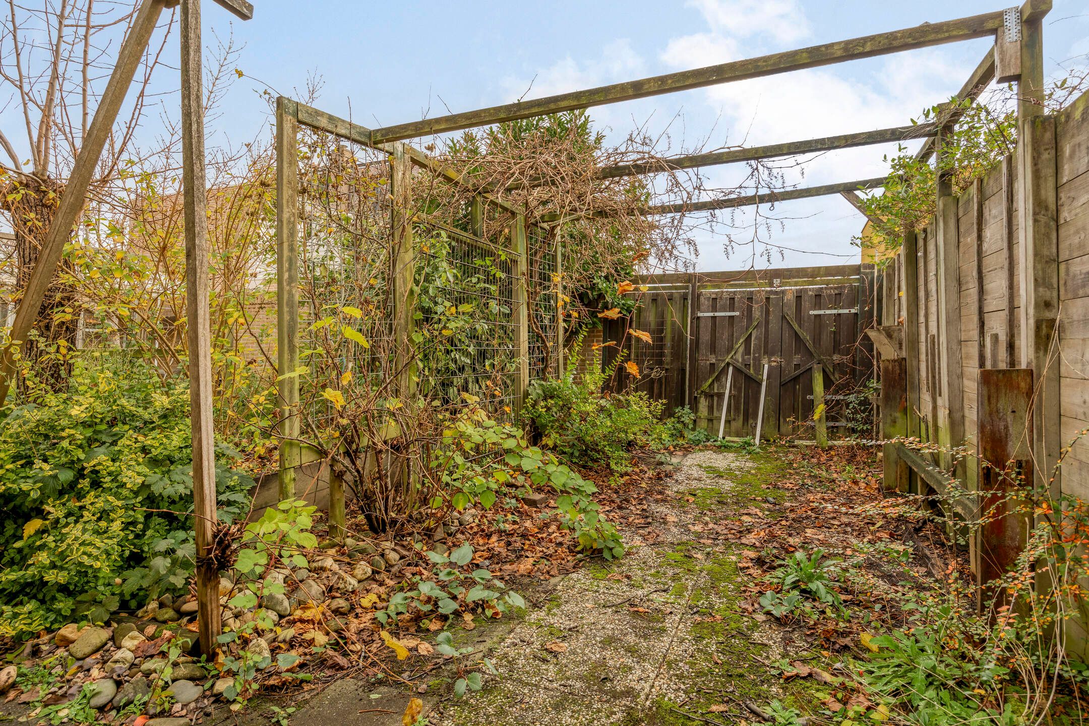 Foto 36 van Thailandsingel 50