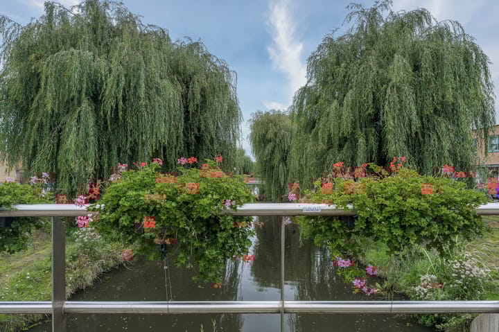 Foto 43 van Bocholtstraat 96