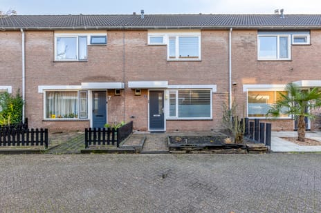 Ossenweide thumbnail