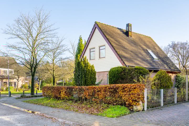 Photo 8 of Wachthoorn 4