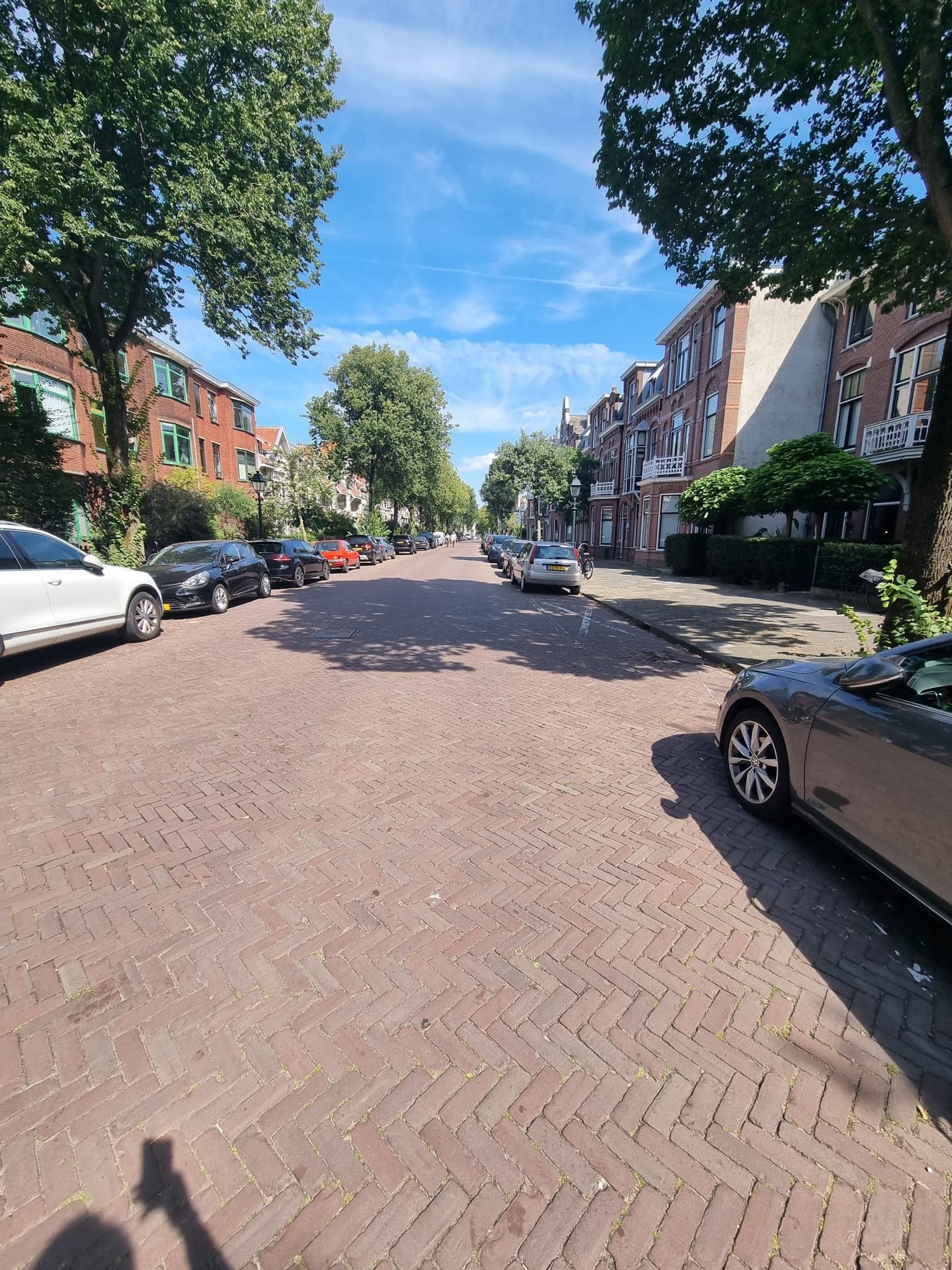 Foto 29 van Frankenslag 90