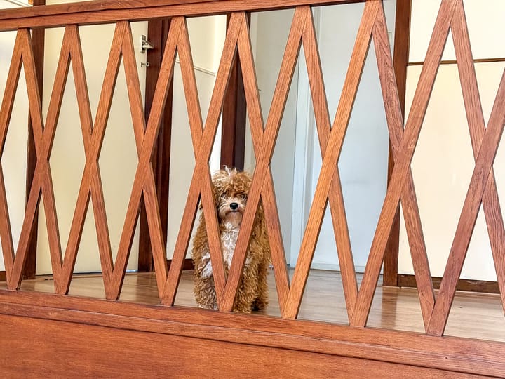 Photo 12 of Laurillardlaan 1