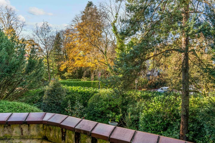 Photo 30 of Laurillardlaan 1