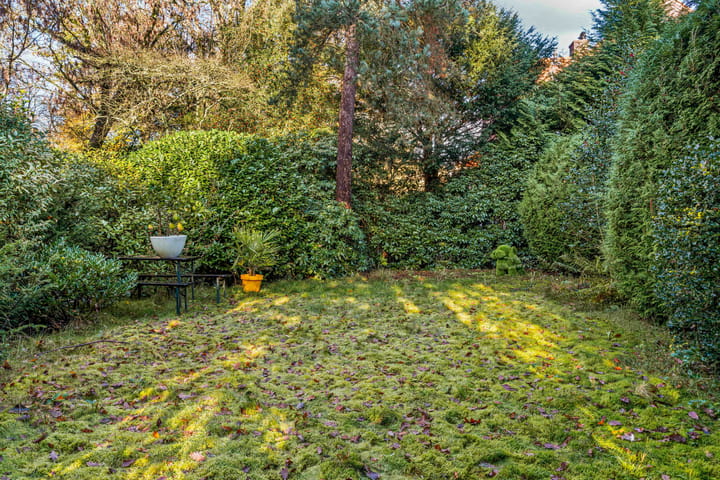 Photo 42 of Laurillardlaan 1