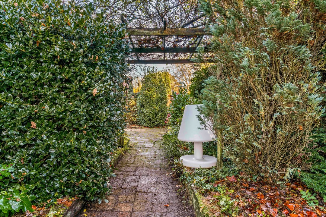 Foto 41 van Laurillardlaan 1