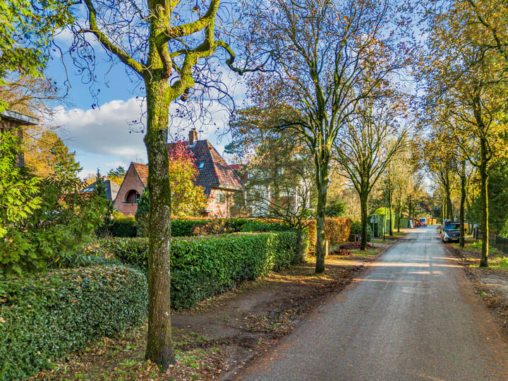 Photo 48 of Laurillardlaan 1