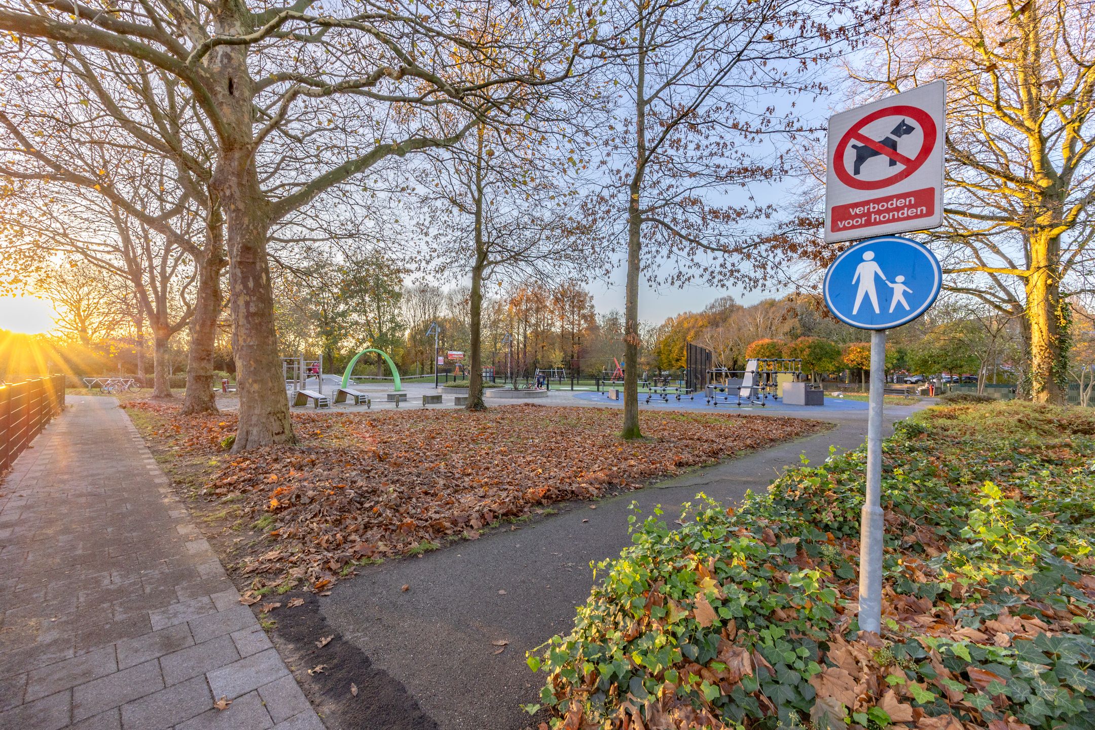 Foto 33 van van Halewijnlaan 196