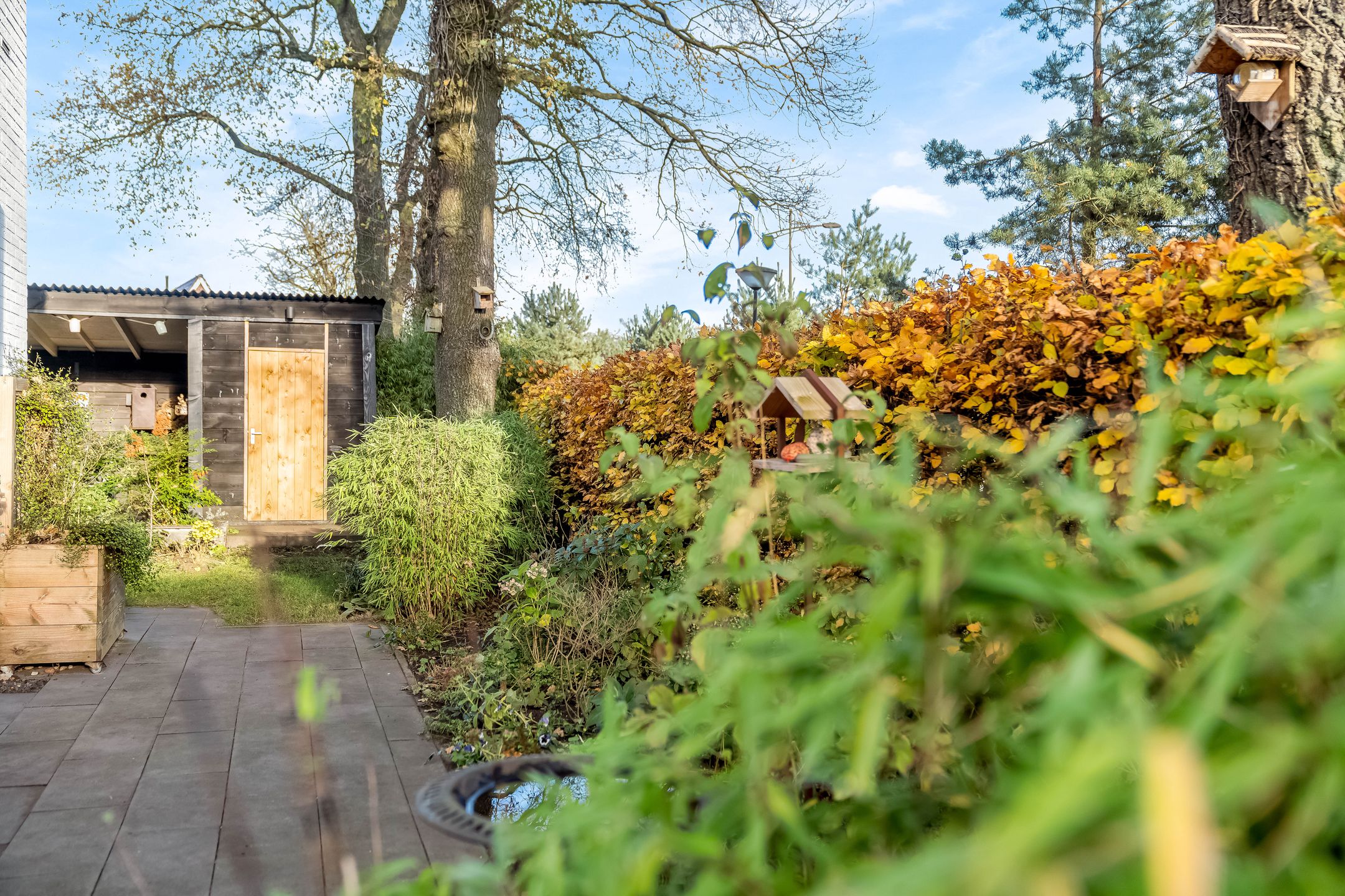 Foto 33 van Davelaarsgoed 3