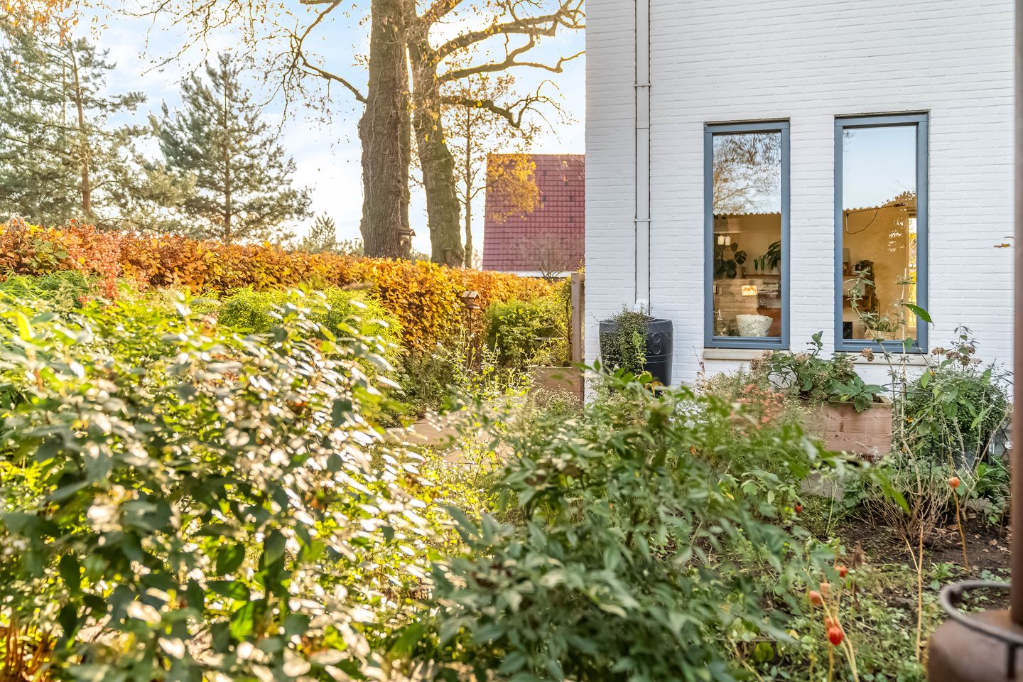 Foto 35 van Davelaarsgoed 3