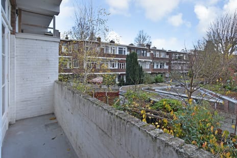 Goudreinetstraat 233 tertiary image