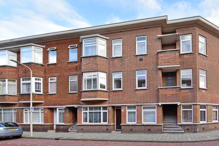 Goudreinetstraat 233