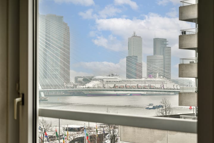 Foto 13 van Boompjes 420