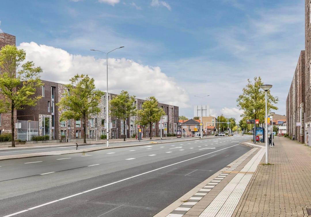 Photo 23 of Bermuda 102