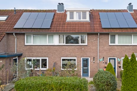 undefined main image