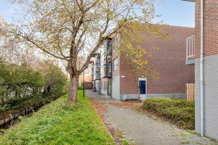 van Borsselestraat 37