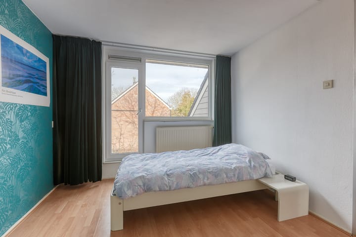 Foto 14 van Klimopzoom 52