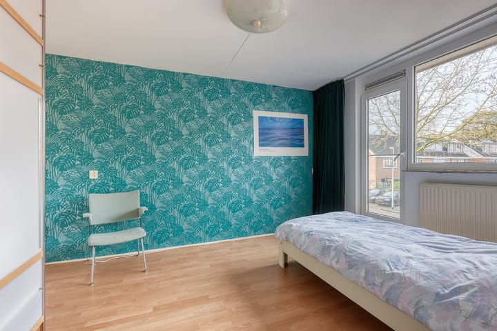 Foto 15 van Klimopzoom 52