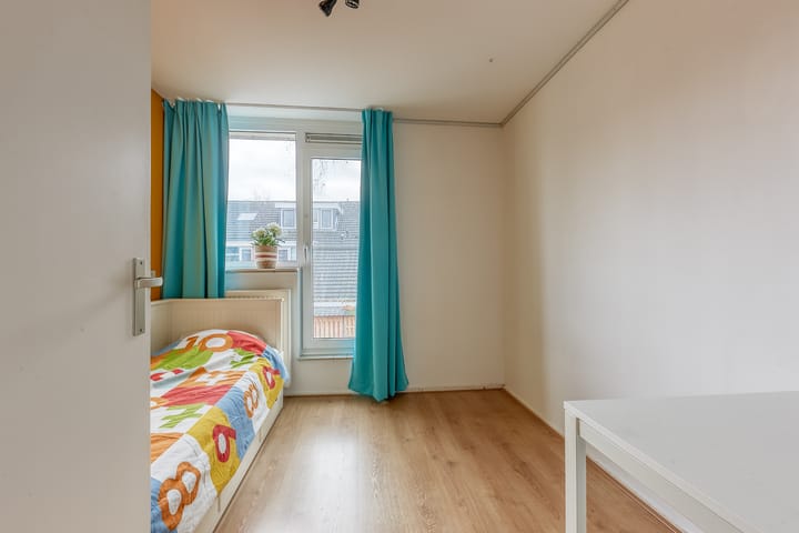 Foto 23 van Klimopzoom 52