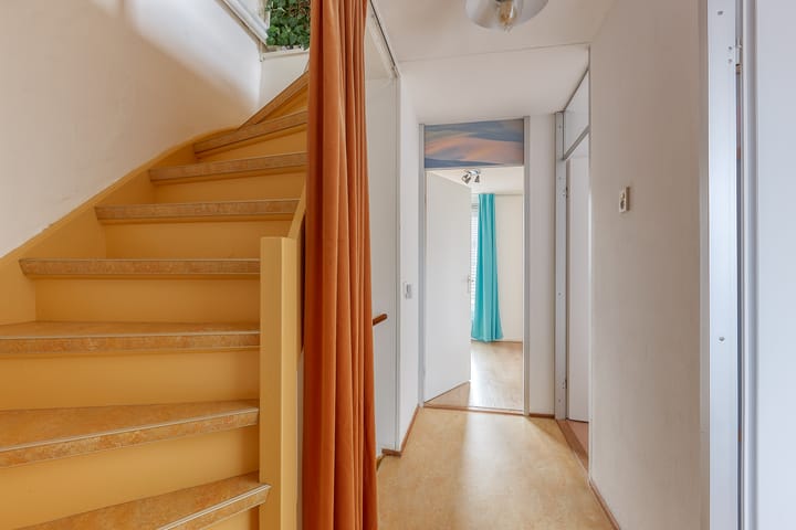 Foto 25 van Klimopzoom 52