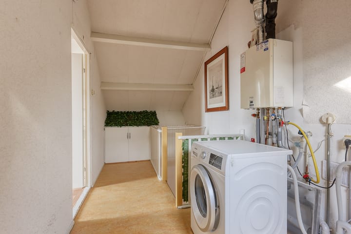 Foto 27 van Klimopzoom 52