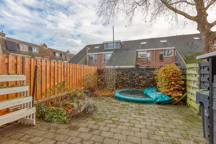 Foto 32 van Klimopzoom 52