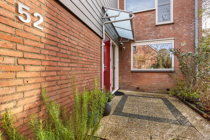 Foto 33 van Klimopzoom 52