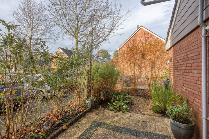 Foto 35 van Klimopzoom 52