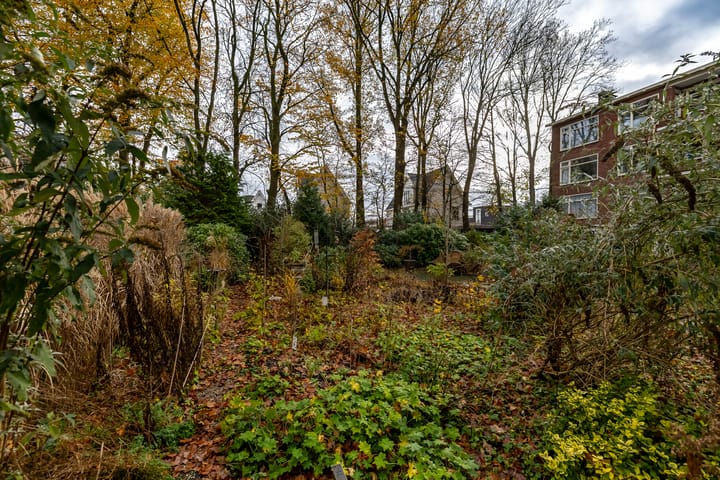 Photo 4 of Van Ketwich Verschuurlaan 62