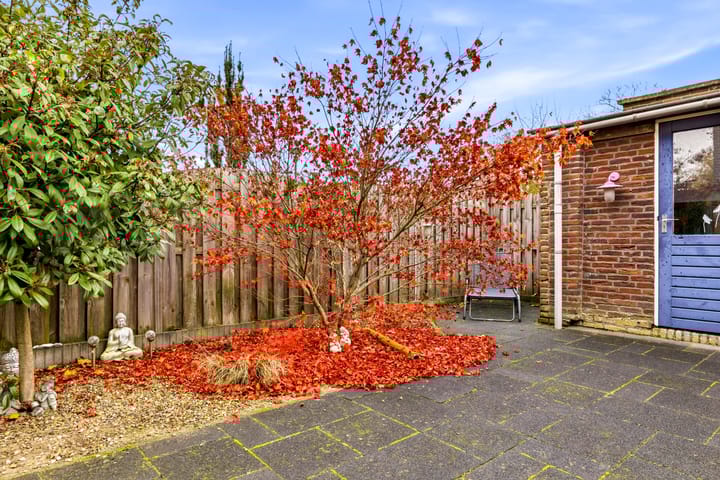 Foto 37 van Elisabethstraat 22