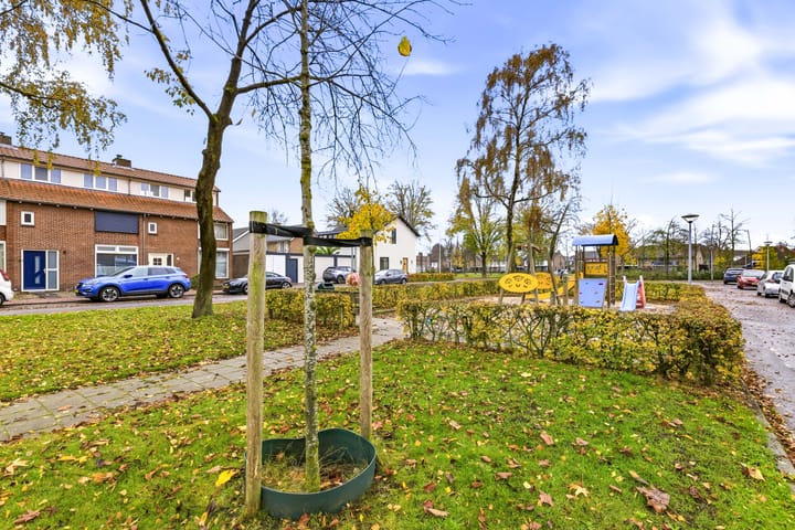 Foto 41 van Elisabethstraat 22